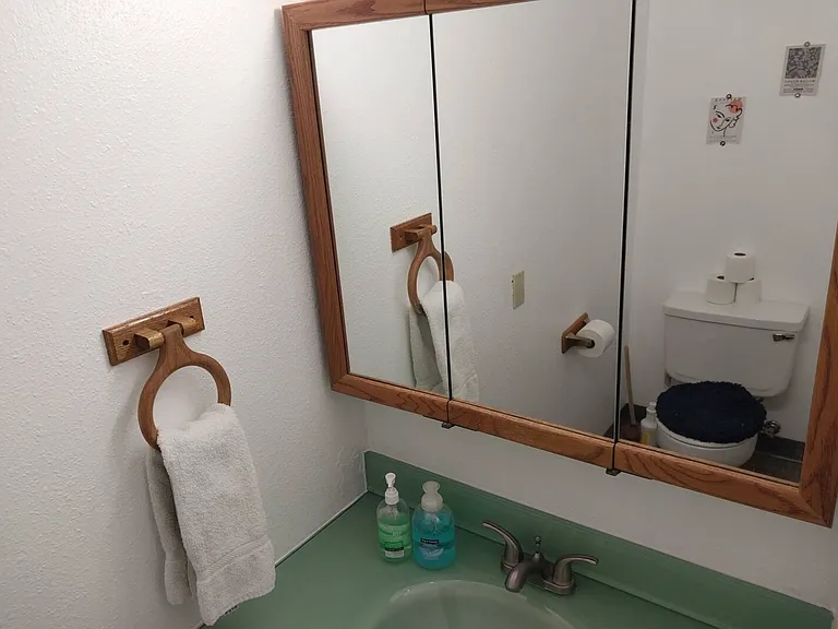 Downstairs bathroom (half bath w/ toilet and sink)