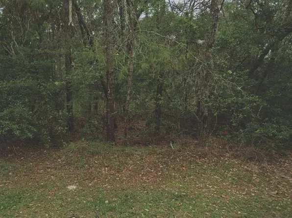 105 Rhode Island Ave #17, Satsuma, FL 32189