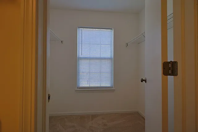 14252 S Hemingway Cir — Photo 19