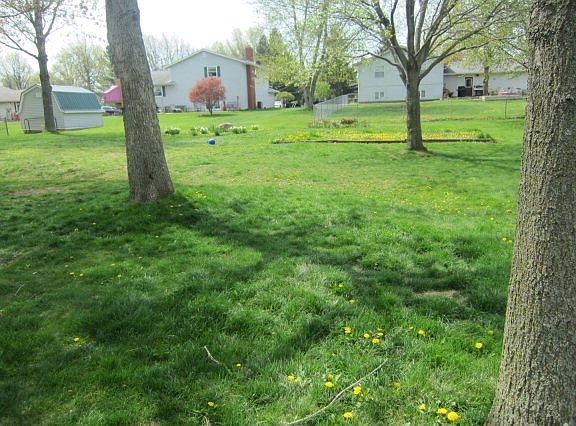 2nd image of 1365 Edgewood Dr