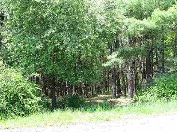 2nd image of Deer Mdw Lot 92