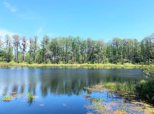 17521 Marsh Rd, Lutz, FL 33558