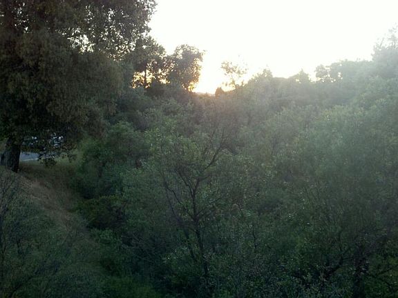 5th image of 25055 Viejas Blvd #2