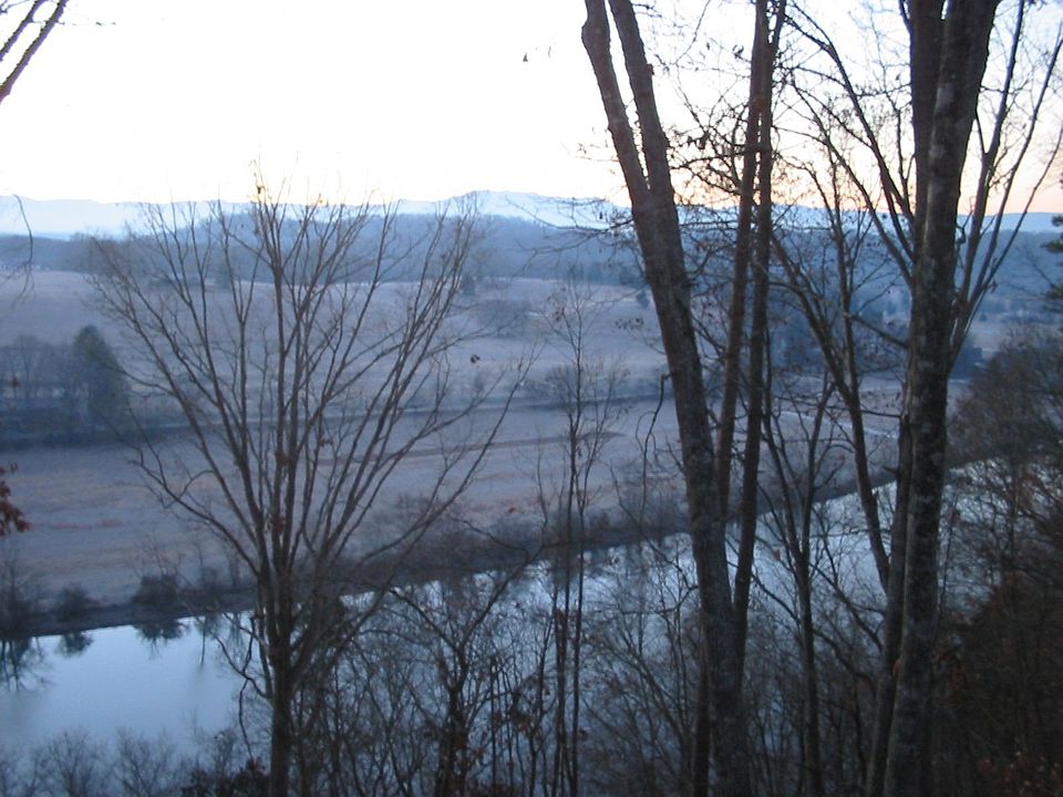 View from deck