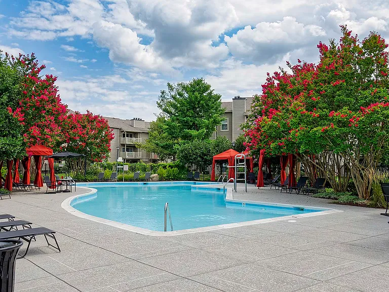 Outdoor swimming pool and social deck