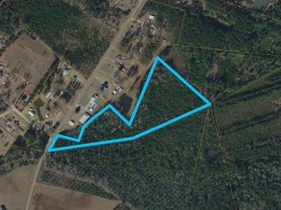 TBDParcel #3 Amber Ln., Galivants Ferry, SC, 29544