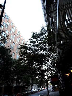 Rented by Prince Real Estate Associates LLC | media 31