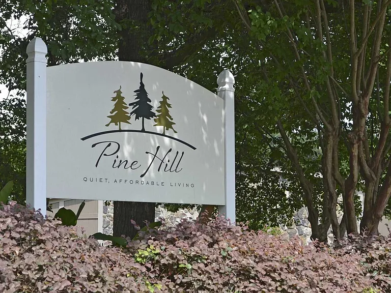 Pine Hill — Photo 15