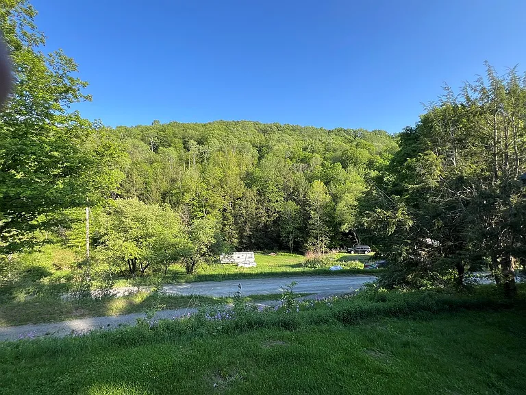 211 Lick Run Rd — Photo 19