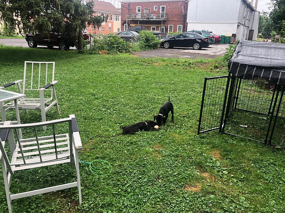 2nd image of 81 Main St