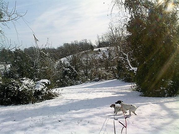 New town park overlook