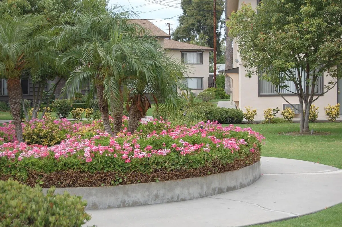 2 bed, 1.5 bath, 1150 sqft, $2,650 — Photo 2