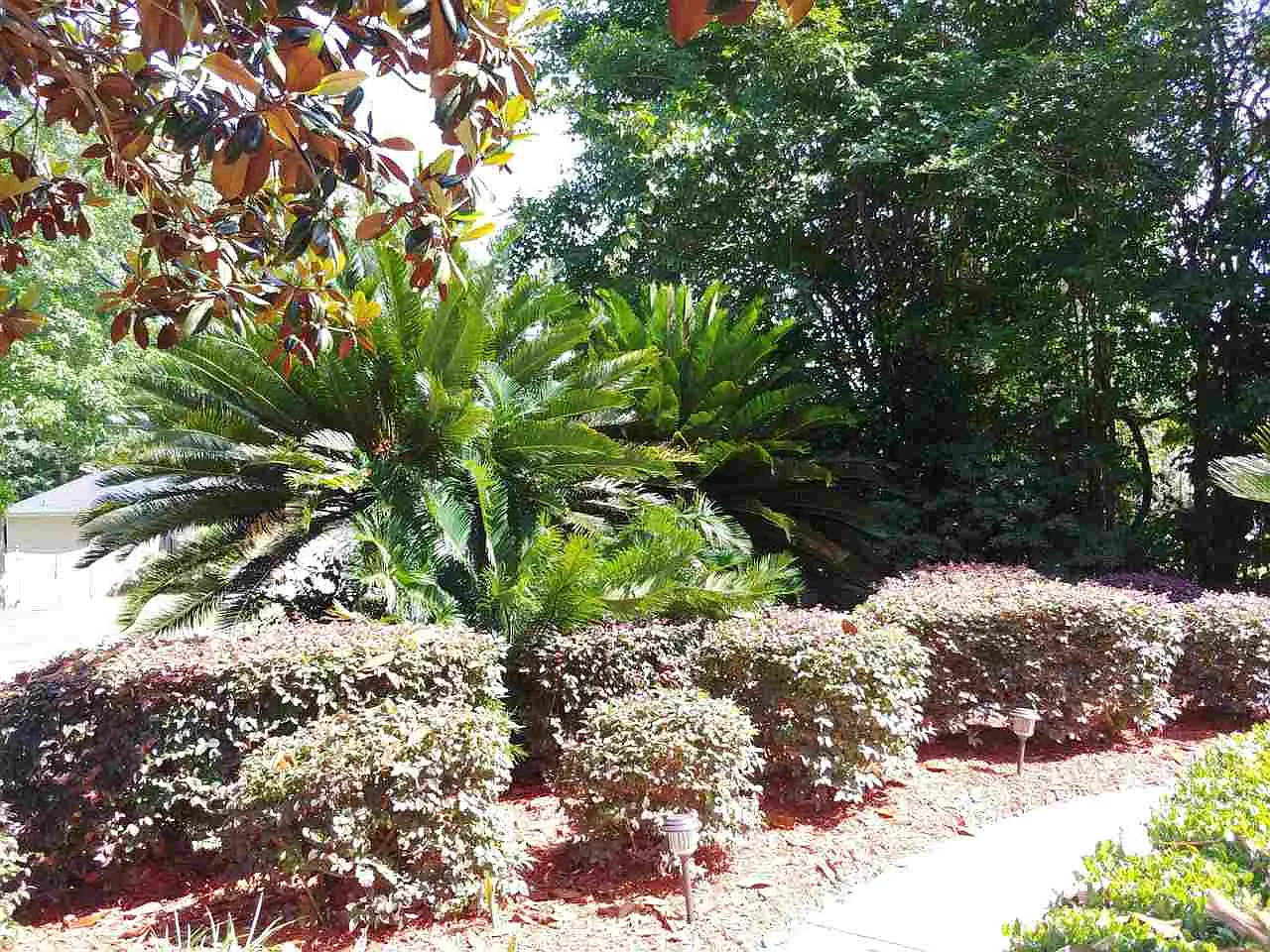 4 bed, 2.0 bath, 2317 sqft, $2,550 — Photo 4