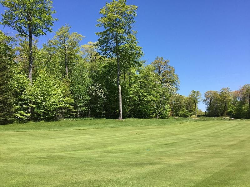 1st image of 15 Forest Drive Way