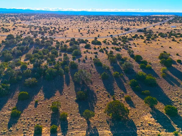 County Road 8637 Lot 210, Concho, AZ 85924
