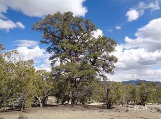 01013H026 S 27th #T38N-R67E, Wells, NV 89835