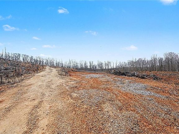 3rd image of 0 Holder Inman Rd