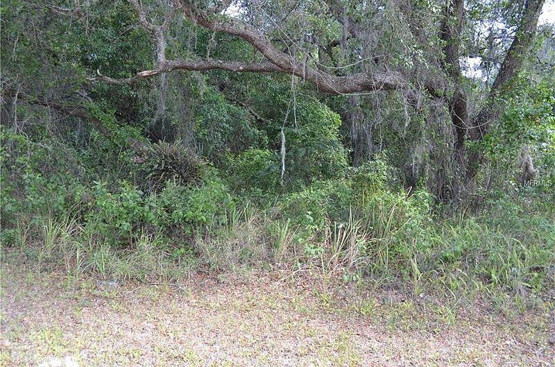 1st image of 1817 NE Voss Oaks Cir
