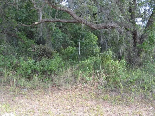 1817 NE Voss Oaks Cir, Arcadia, FL 34266