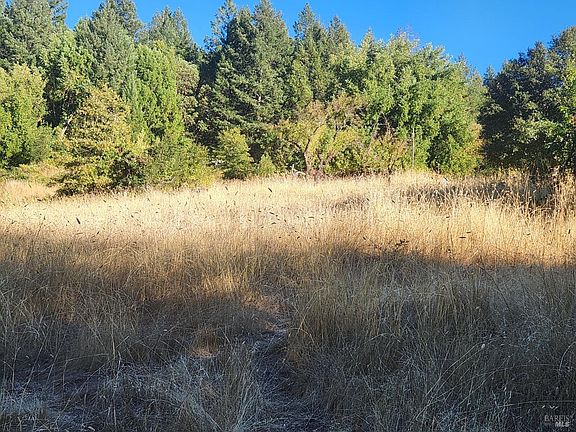 4th image of 14411 Poonkinney Road