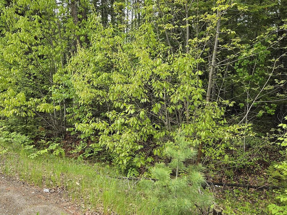 2nd image of Lot 81-1 Lower Detroit Road