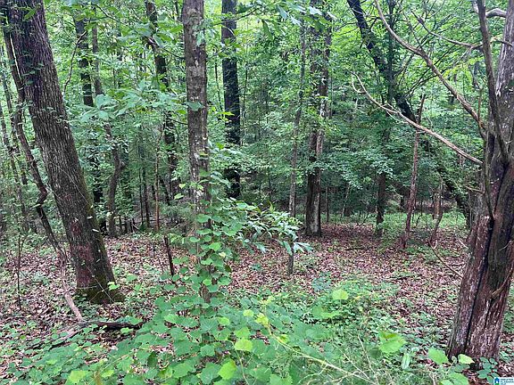 3rd image of 0 Gilmer Ave