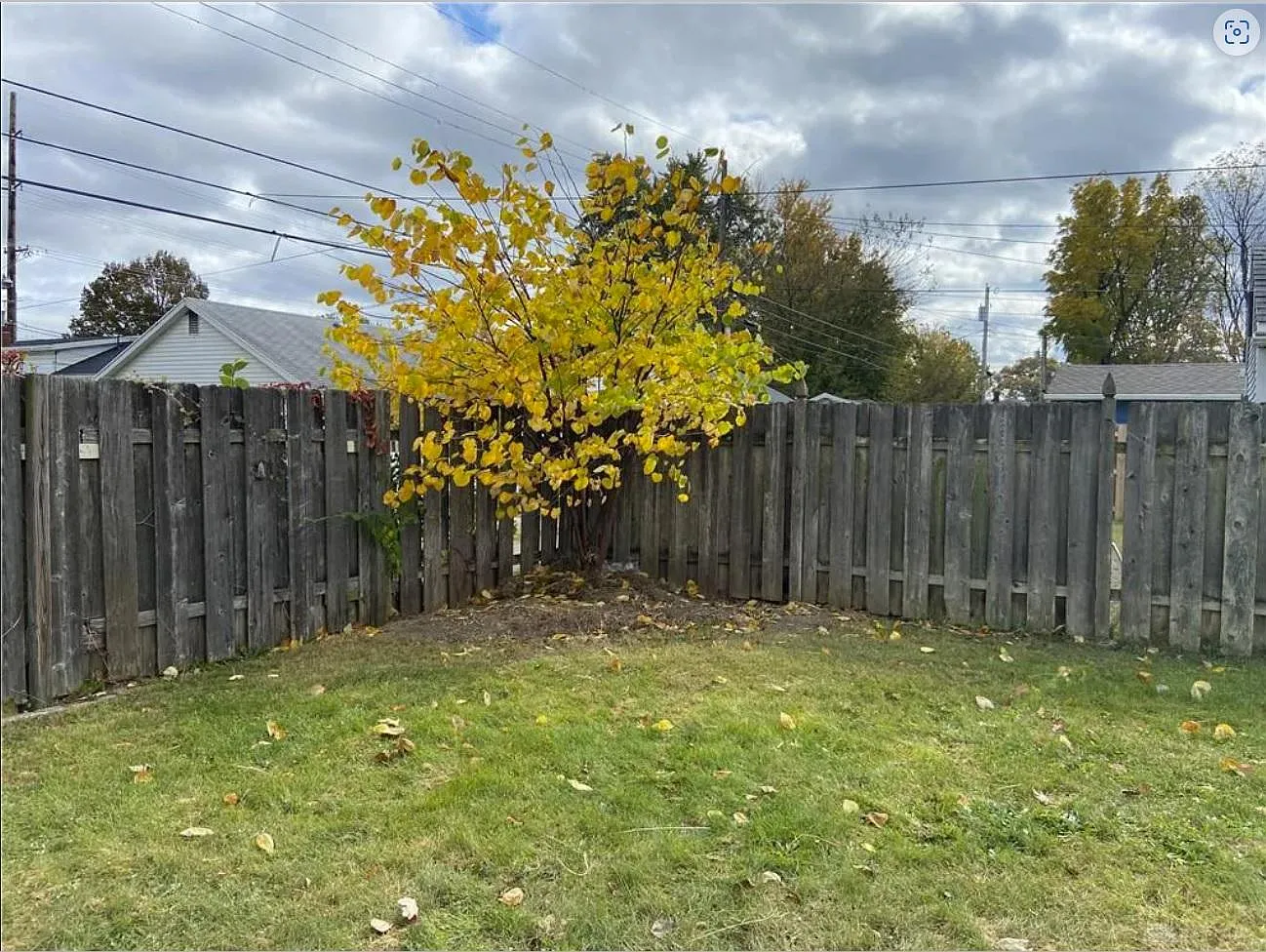 2 bed, 1.5 bath, 1066 sqft, $1,295 — Photo 4