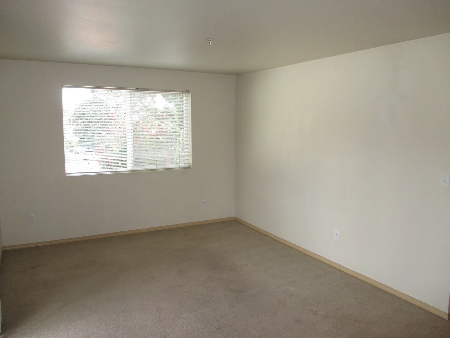 Two Bedroom Apartment in South Salem with New Carpet! — Photo 4