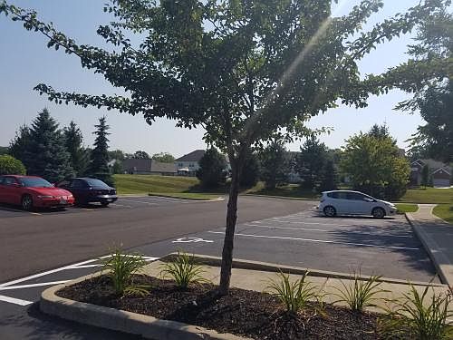 4th image of 3041 Westminster Dr APT 207
