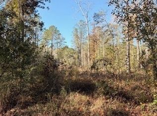 42217 Pasqua Rd, Ponchatoula, LA 70454