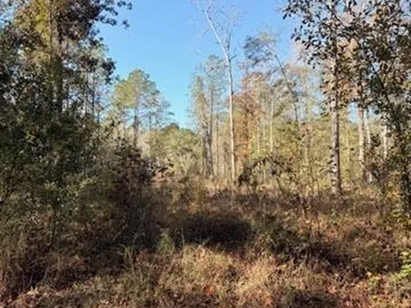 42217 Pasqua Rd, Ponchatoula, LA 70454