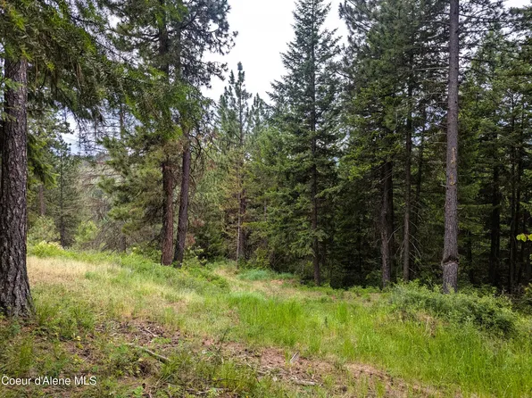 Nka Benewah Creek Rd, Saint Maries, ID 83861