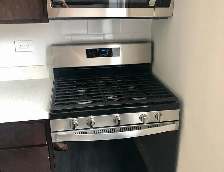 1019 W Cullerton St #2R — Photo 30