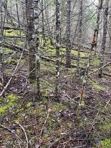 Nna UNIT 1, Bayview, ID, 83803