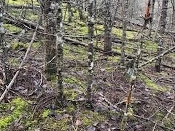 Nna Unit 1, Bayview, ID 83803