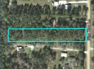 2170 Pine Tree Ln, Middleburg, FL 32068