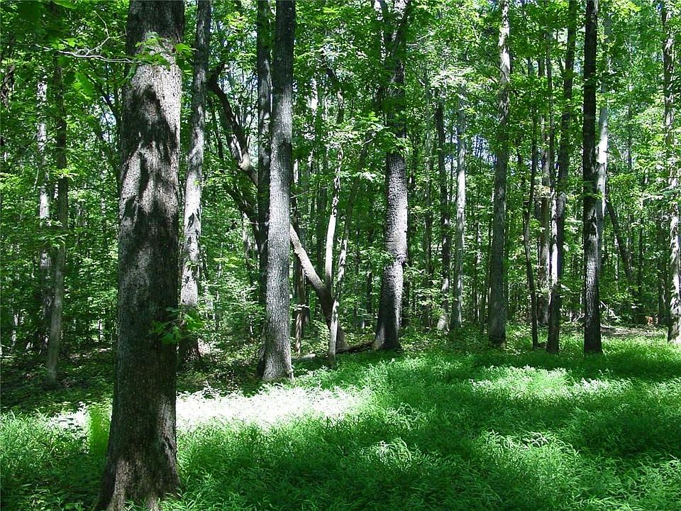 2nd image of 2191 Rabbit Hill Cir Lot 18