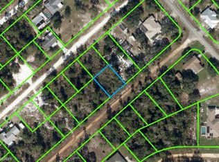 3036 W Lundelius Rd, Avon Park, FL 33825