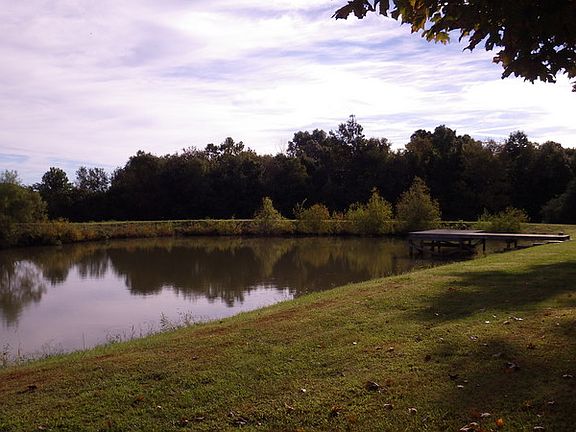 Pond