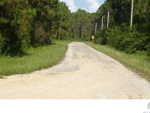 4th image of 1042 Pine Cove Dr