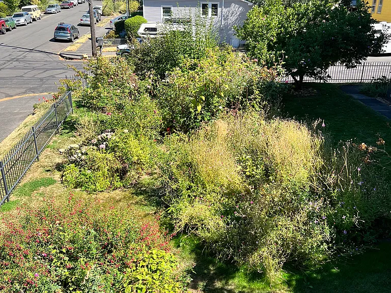 Shared garden