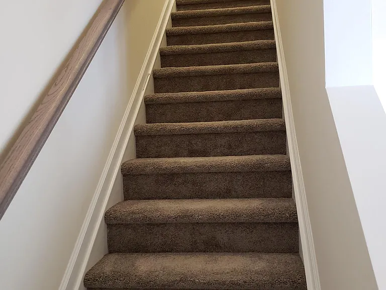 1023 Laceflower Dr — Photo 8
