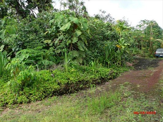 3rd image of Papai St Lot 4