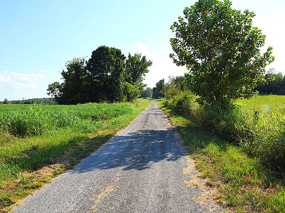 5th image of 341 Guy Starks Rd
