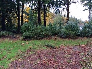 3rd image of 12221 434th Ave SE