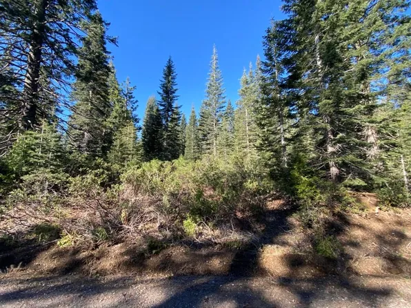 4-L-6 Winding Way, McCloud, CA 96057