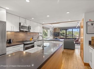 1221 Vine St #1221, Aspen, CO 81611