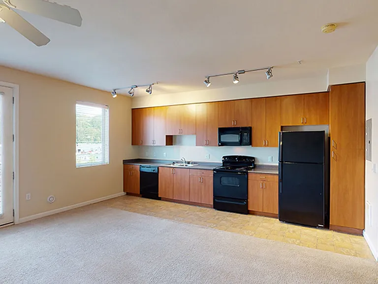 Apartment kitchen, dining and living room with plush carpet flooring.