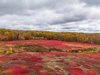 Map 4 Lot 3 Clarry Hill Lane, Union, ME, 04862