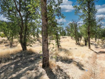 16467 35th Ave LOT 13, Clearlake, CA, 95422